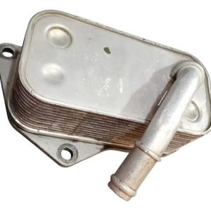 Resfriador Radiador Óleo Bmw X3 X5 X6 Z4 525 528 530 535