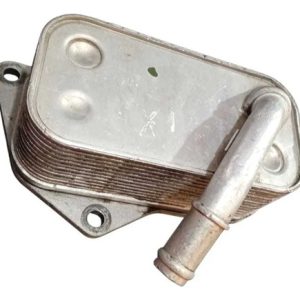 Resfriador Radiador Óleo Bmw X3 X5 X6 Z4 525 528 530 535